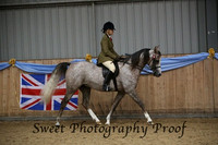 Ridden Geldings