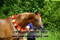 ECAHO Fillies