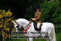 RIDDEN HOYS Championship