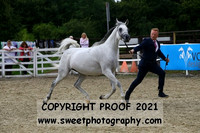 Mares Class 16B