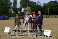 RIDDEN HOYS Championship