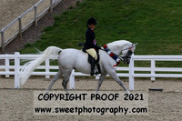 BNCh Mares