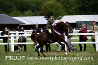 Friday Birkrigg Park Ridden BNC Stallions