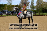 Novice Championship