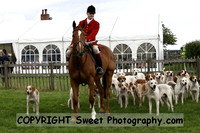 Hound Parade