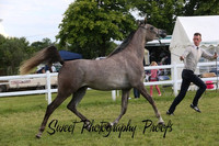 Junior Female Championship
