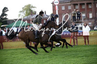 Flat Races