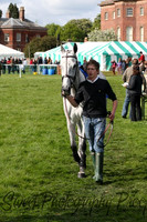 Race 7