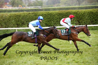 Pony Racing