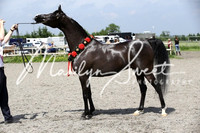 ECAHO Mares