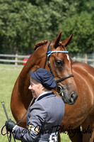 Ring 3 Saturday