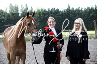 ECAHO Geldings