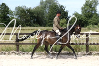 Ridden HOYS Geldings