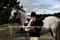 Friday HOYS Championship