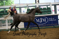Championship Junior Male