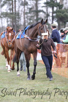 Race 5