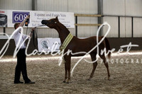 ECAHO Championship Jr Female