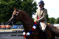 RIDDEN HOYS Championship