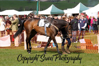 Race 5