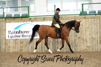 Ridden HOYS