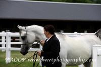 ECAHO Colts 3 yrs
