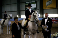Ridden Geldings A
