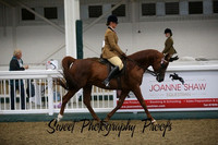 Ridden HOYS