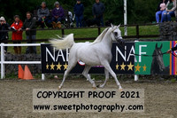 Fillies 2 years