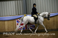 Ridden Stallion
