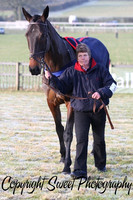Race 2