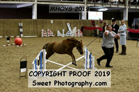 RING 1 Agility