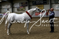 ECAHO Fillies