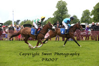 Pony Races