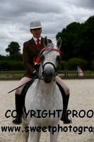 RIDDEN HOYS Mares