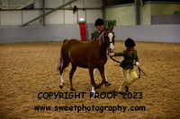 IN-HAND Young Handlers