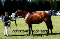 NPS Qualifiers