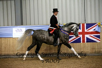 Ridden Stallions