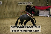 RING 1 Evening Performance B
