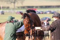 Race 5