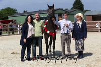 Pure Bred FILLIES