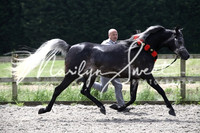 ECAHO Colts