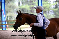 ECAHO Mares Sr Female Ch