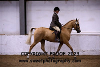 RIDDEN PBA Anglo Championship