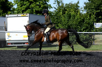 RIDDEN Pre-Novice Arabians