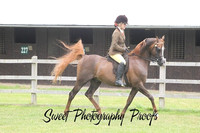 Other Rings HOYS