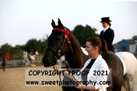 Owner Breeder Championship