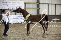 ECAHO Championship Sr Male