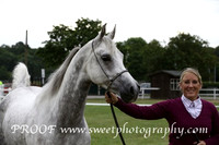 ECAHO Geldings 4 +