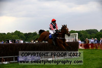 Race 3 Veteran Horse