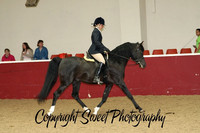 Ridden